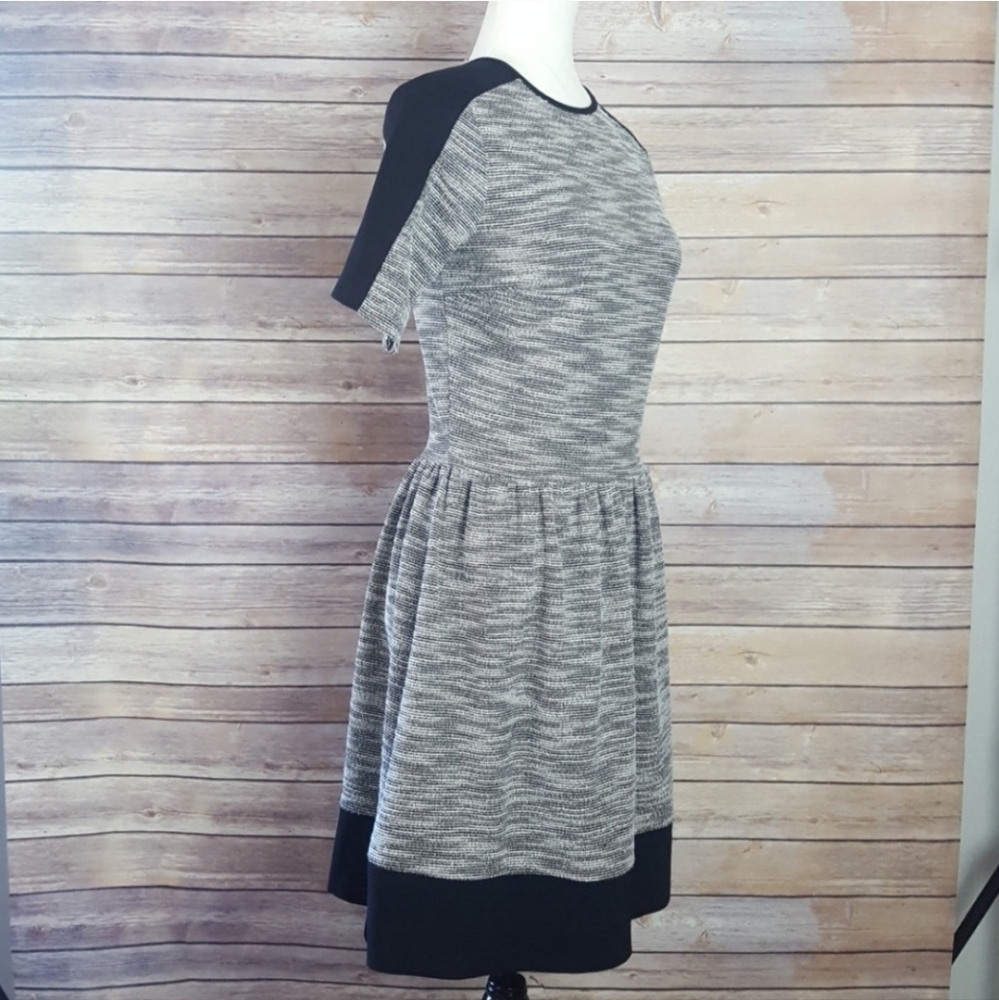 LOVE ADY Stylish Gray and Black Womens Juniors Dress - Picture 3 of 5